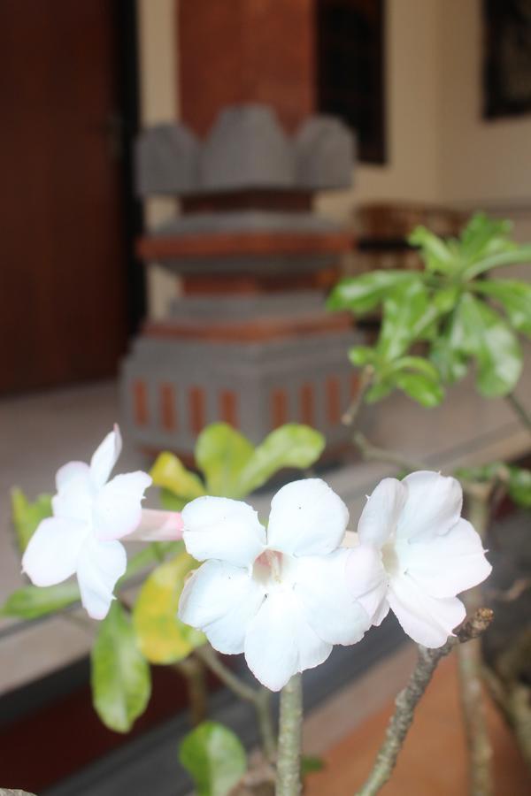 Js Wisma tamu *